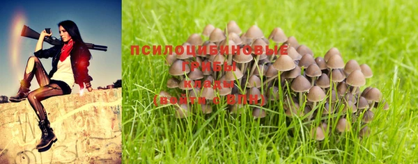 молекула духа Верея