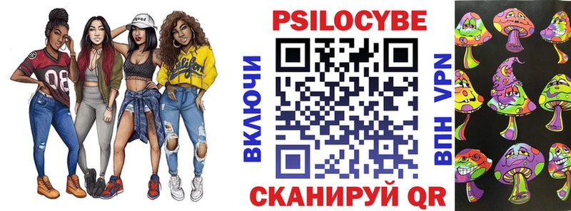 где продают наркотики  МЕГА ссылки  Псилоцибиновые грибы Psilocybe  Губкин 
